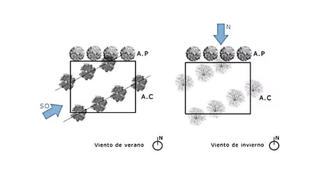 Estrategias de colocación de los arboles caducos en líneas de viento para configurar corredores de viento.