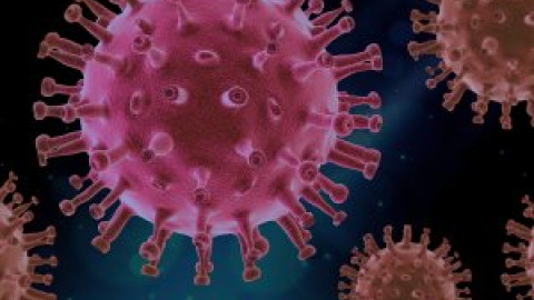 Detectado un nuevo virus en China que afecta a humanos, de momento sin contagios por contacto estrecho