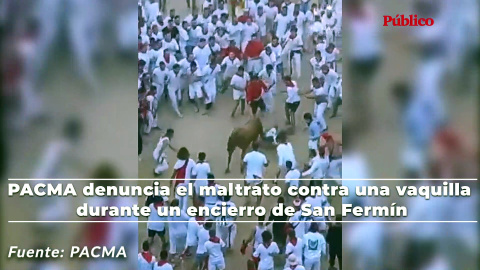 Vídeo| PACMA denuncia el maltrato contra una vaquilla durante un encierro de San Fermín