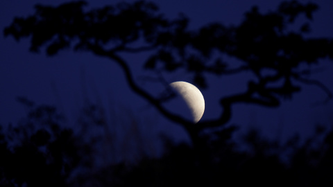 La luna durante un eclipse lunar parcial en Brasilia, Brasil, el 16 de julio de 2019. REUTERS / Ueslei Marcelino