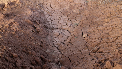 (10/2/2022) Evidencias de sequía en el Embalse de La Vega del Jabalón, a 10 de febrero de 2022, en Calzada de Calatrava, Ciudad Real.