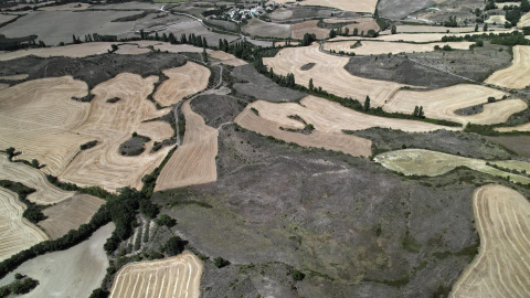 09/08/2022-Aspecto que presenta una zona de Tierra Estella donde se aprecia la situación en la que se encuentra el campo en Alloz, Navarra, el 9 de agosto