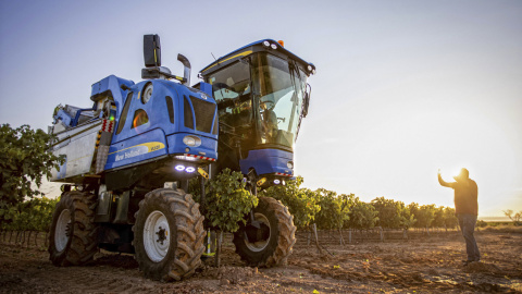 La vendimia de 2022 ha comenzado este miércoles en la Denominación de Origen Calificada (DOCa) Rioja, con la recogida de la uva blanca tempranillo de la bodega cooperativa Viñedos de Aldeanueva de Ebro.