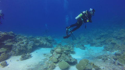 Imagen de un buceador bajo el agua, observando rocas en el fondo del mar.