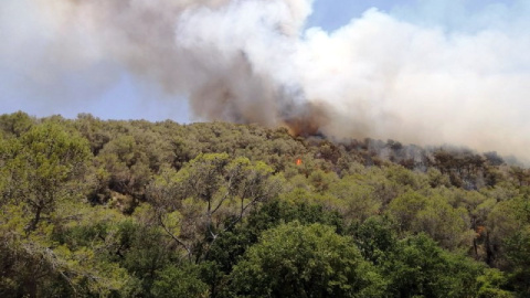 18/06/2022 - Columna de fum a l'incendi d'Olivella, al Garraf.