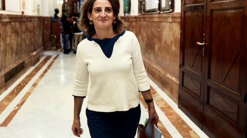 La ministra de Transición Energética y Medio Ambiente, Teresa Ribera, a su llegada al pleno del pleno celebrado en el Congreso de los Diputados.EFE/Mariscal