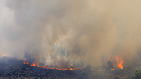 (16/8/22) El incendio de Vall d'Ebo el mismo día que se originó el incendio en la Sierra del Caballo (Petrer), a 100 kilómetros de distancia, el 16 de agosto de 2022.