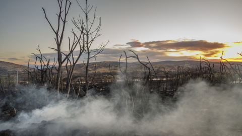 La lluvia caída durante esta madrugada en el entorno del incendio forestal de Bejís, en la comarca castellonense del Alto Palancia, ha reducido la llama hasta casi desaparecer en todo el perímetro.