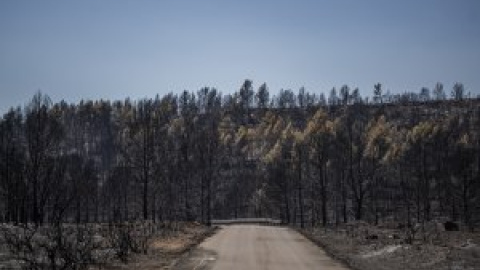 Estabilizan el incendio de Bejís tras haber calcinado unas 20.000 hectáreas de monte en el País Valencià