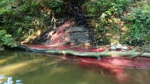 Ecologistas denuncian el vertido de sangre de un matadero a un río de Gipuzkoa