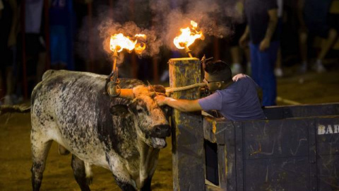 La quinta muerte en festejos taurinos en la Comunidad Valenciana, en Almedíjar (Castellón)