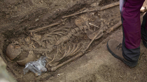 Uno de los cuatro esqueletos hallados en la fosa del cementerio parroquial de Colmenar Viejo, con impacto de bala en mandíbula y cráneo, según los arqueólogos.