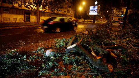 Árboles caídos por los fuertes vientes de la tormenta tropical Leslie.- REUTERS/Rafael Marchante