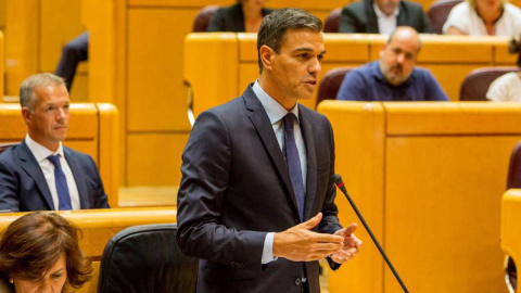 El presidente del Gobierno, Pedro Sánchez, en una sesión de control al Gobierno en el Senado. RICARDO RUBIO/EUROPA PRESS