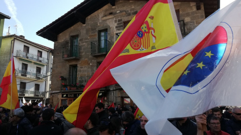 Manifestantes ondean banderas de España en el acto de España Ciudadana en Altsasu./ DANILO ALBIN