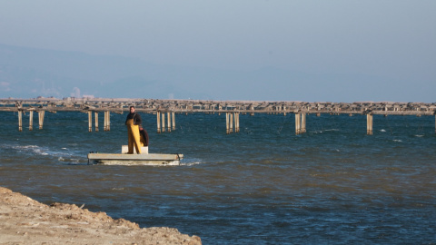 27/01/2022 - Àrea de cria de musclos al Delta de l'Ebre.