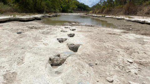 Huellas de dinosaurio descubiertas en el río Paluxy, en Texas (AFP)