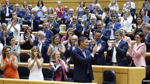 Así ha sido el careo entre Sánchez y Feijóo en el Senado