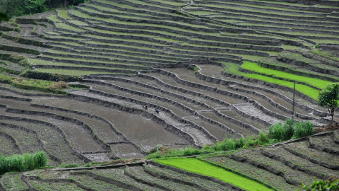 Agricultores trabajan el campo en una aldea de Sikkim (India). / AFP - DIPTENDU DUTTA