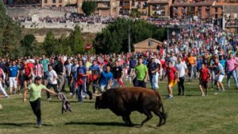 El Gobierno presenta un escrito en la Fiscalía para impedir que el Toro de la Vega se celebre