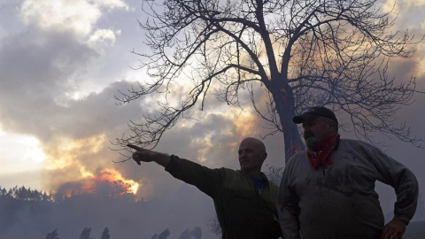 Incendios norte de España en diciembre