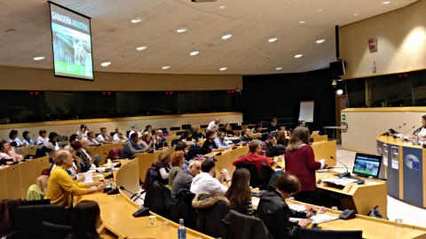 Representantes de las entidades vecinales y ambientalistas que han presentado la queja contra la ganadería industrial ante la UE celebraron este martes una sesión de trabajo en el Parlamento Europeo.