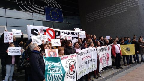 Representantes del medio centenar de entidades que han presentado la queja contra la ganadería industrial ante la UE se manifestaron ante el Parlamento Europeo.