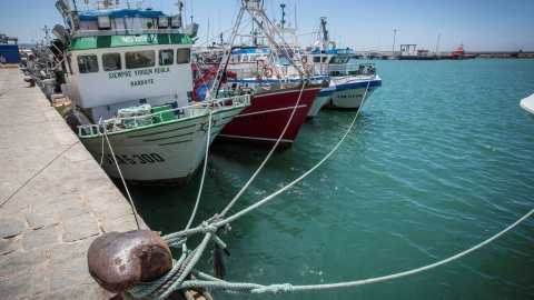 Pesqueros amarrados en el puerto de Barbate (Cádiz) | EFE/Archivo