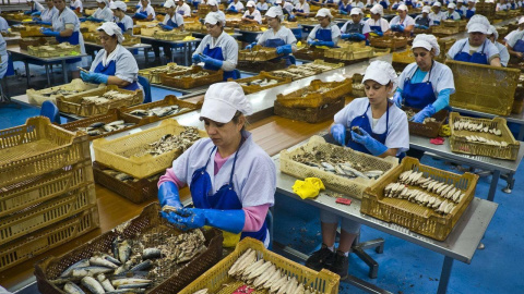 Foto de archivo de empleadas en una fábrica de conservas. / EFE