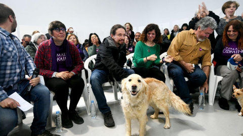 El candidato de Unidas Podemos a la presidencia del Gobierno, Pablo Iglesias, en un acto contra el maltrato animal, en Madrid, con su perra Leona. DANI GAGO/PODEMOS