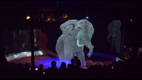 Holograma de un elefante. | Circo Roncalli