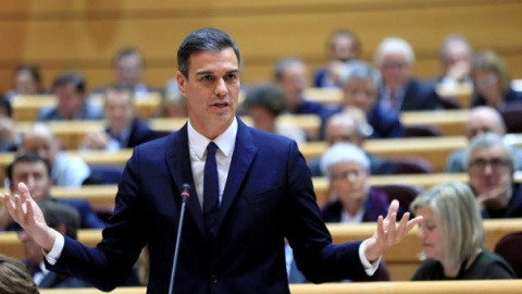 Imatge d'arxiu de Pedro Sánchez al Senat. / EFE