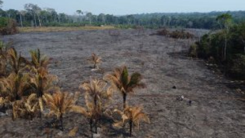 Madre de Dios, una llamada de auxilio desde la Amazonia peruana