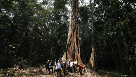 05/09/2022-Activistas y defensores ambientales son vistos junto a un shihuahuaco de aproximadamente 1000 años, el 5 de septiembre de 2022 en Madre de Dios (Perú).