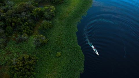 Vista aérea del Amazonas en Brasil. MAURO PIMENTEL / AFP