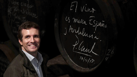 El presidente del PP, Pablo Casado, durante la visita a la bodega Lagar Blanco, entre las sierras de Montilla y Castro del Río, en Córdoba. EFE/ Rafa Alcaide