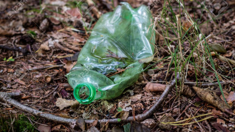 Plastic trash in the forest. Tucked nature. Plastic container lying in the grass. Season of autumn.