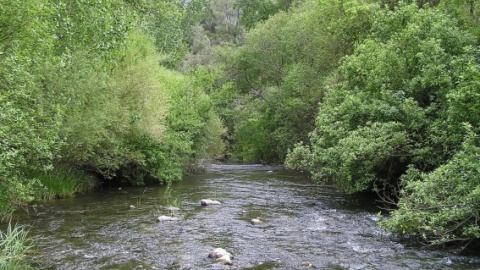 Un ejemplo de río bien conservado que mantiene sus riberas funcionales, en un tramo del Río Genal.