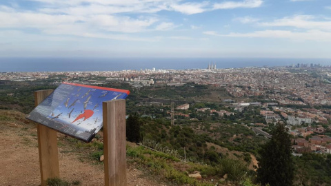 Mirador del Puig Castellar