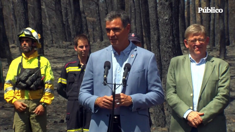 Sánchez: "Declarar como zona catastrófica todos aquellos territorios asolados por los grandes incendios de este año"