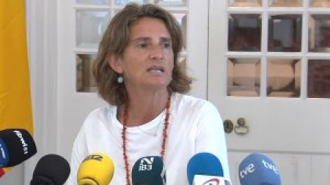 Teresa Ribera: "No contemplamos restricciones para la industria ni los hogares"