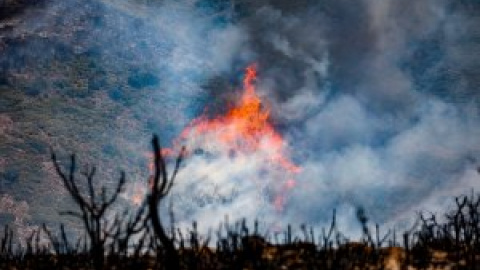 La Fiscalía considera que la mayoría de incendios son provocados o causa de negligencias