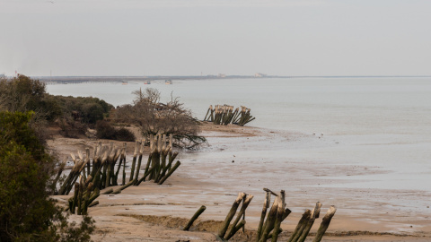 Vista de la orilla del Parque Nacional de Doñana con el río Guadalquivir. WIKIPEDIA