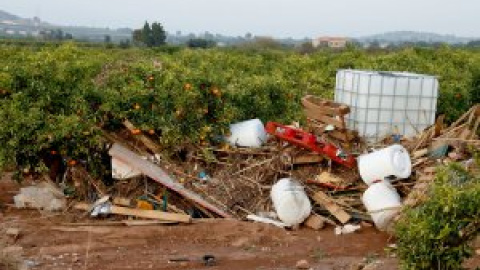 Estimen que la DANA ha afectat 25.500 hectàrees de cultiu assegurades i 10.000 agricultors i ramaders