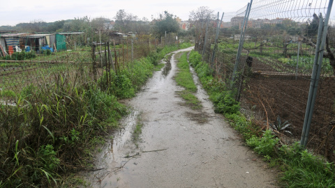 Camí entre horts al Calderí a Mollet del Vallès