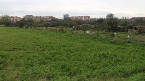 Camps i horts al Calderí a Mollet del Vallès