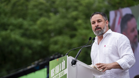 Abascal campaña Europeas