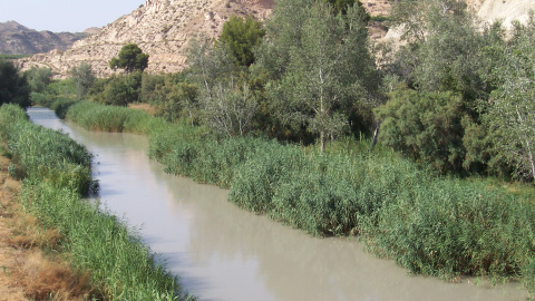 Fotografía del río Segura a su paso por Murcia.