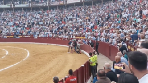 Golpean e insultan a un manifestante antitaurino que saltó al ruedo en la Plaza de Toros de Murcia