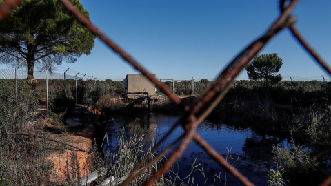 Balsa de riego ilegal construida cerca de algunos de los 77 pozos que la Confederación Hidrográfica del Guadalquivir (CHG) prevé cerrar. EFE/José Manuel Vidal